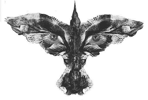 the_crow2.gif (51984 bytes)